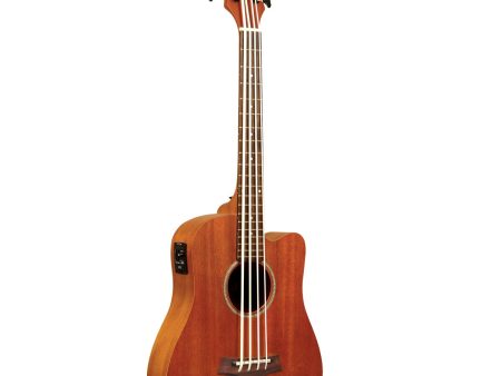 Gold Tone MBASS - Acoustic-Electric MicroBass with Piezo and Built in EQ w gig bag Online Sale