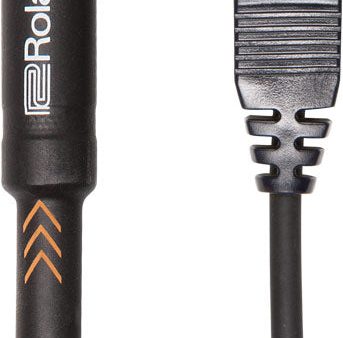 Roland RCC-10-US14 Black Series 1 4  TS Male to USB Cable - 10  Online now