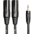 Roland RCC-5-352XM Mini Jack Stereo To Dual XLR (M) Cable - 5  For Cheap