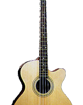 Jay Turser JTB-D100 4 String Acoustic Bass with Under Saddle Pickup and 4 Band EQ - Natural Supply